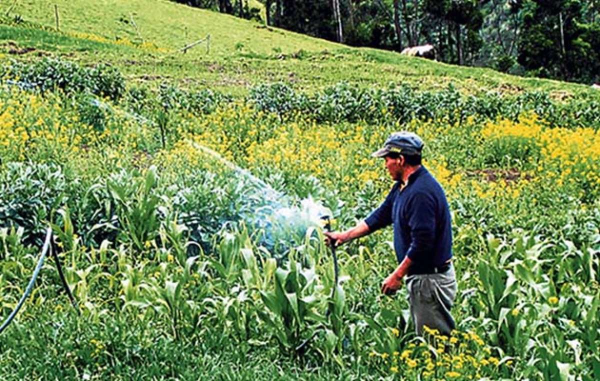 Se implementar&aacute;n 40 mil sistemas de microrreservorios en varias provincias del pa&iacute;s. Manab&iacute; y Loja ser&aacute;n considerados proyectos especiales. Cortes&iacute;a