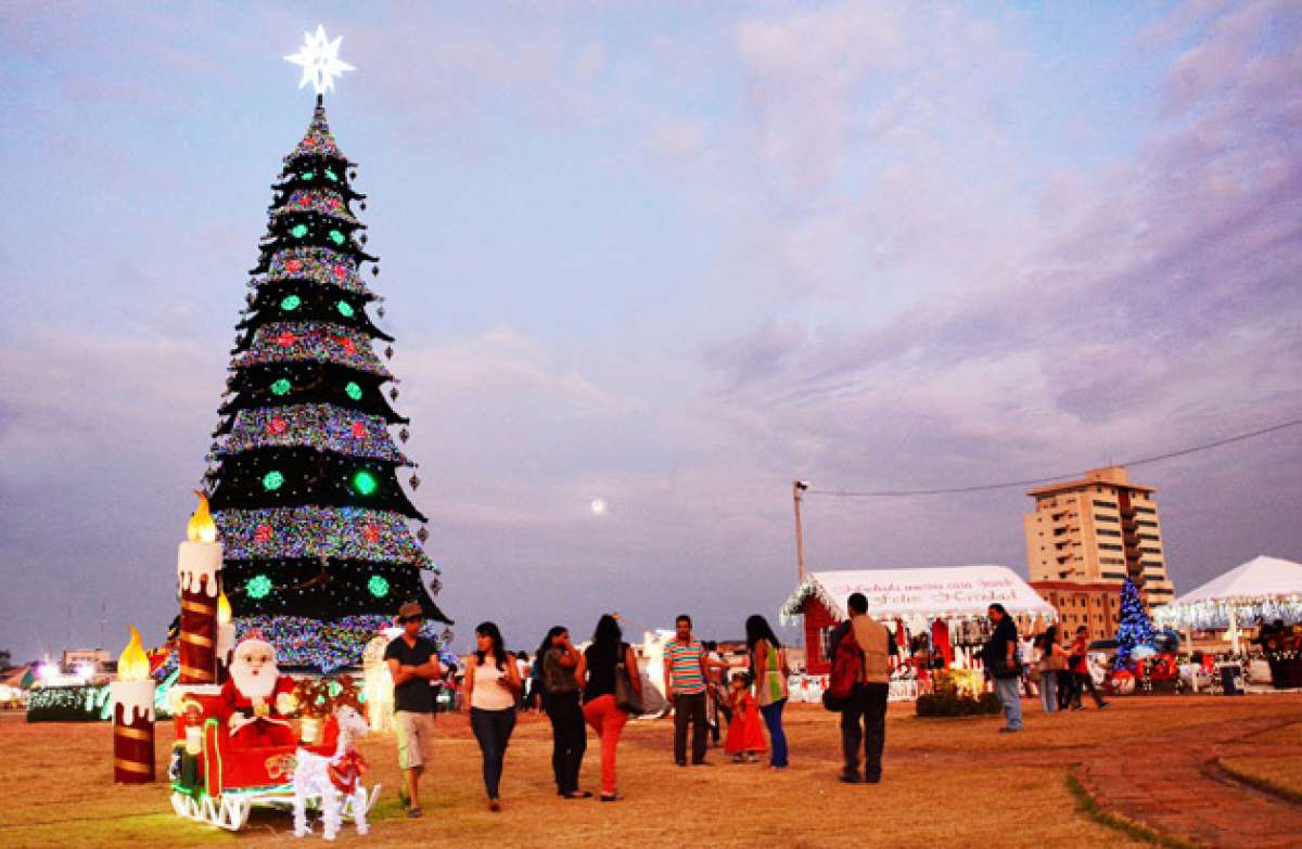Uno de los &aacute;rboles navide&ntilde;os m&aacute;s grandes que se han hecho en el Ecuador est&aacute; en la ciudad de Machala. Foto: Fabricio Cruz/El Tel&eacute;grafo