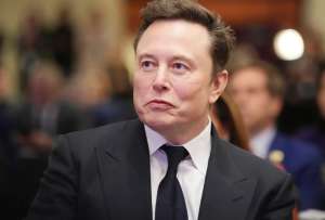 Elon Musk es acusado de difundir &quot;mentiras&quot; a través de la red social X.