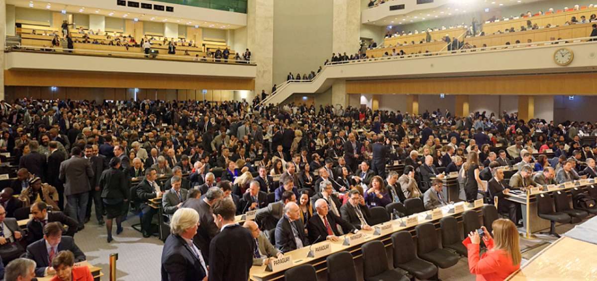 Cumbre Mundial discutir&aacute; sobre las mujeres en el trabajo