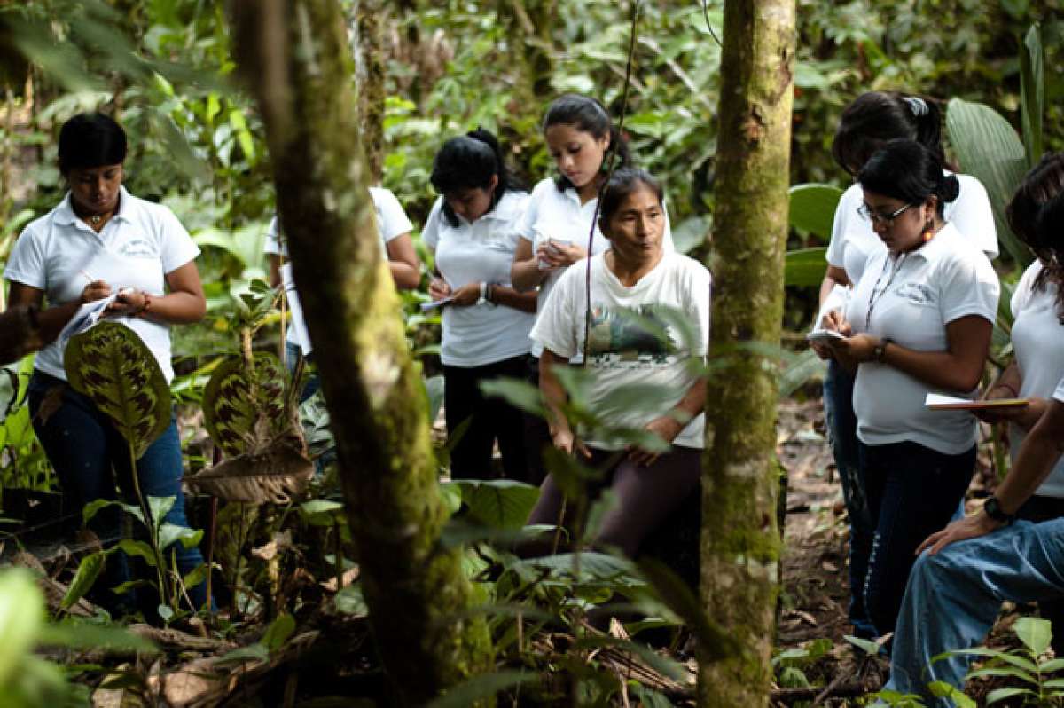 El parque Etnobot&aacute;nico Omaere tiene una extensi&oacute;n aproximada de 2,5 kil&oacute;metros. En esta zona hay una colecci&oacute;n incalculable de plantas nativas. Foto: Foto: omaere.wordpress.com