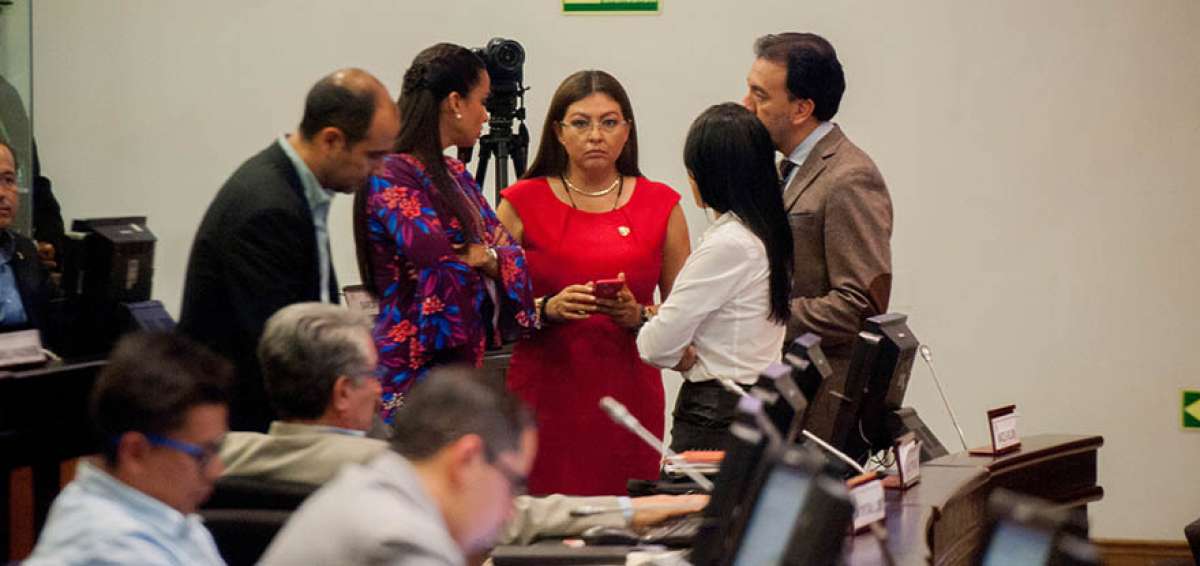 Sof&iacute;a Esp&iacute;n fue destituida del cargo de asamble&iacute;sta el 13 de noviembre de 2018, con el voto de 94 legisladores.