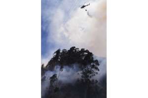 Efectivos de la Fuerza P&uacute;blica coordinaron acciones para apagar varios incendios en diferentes sectores del norte de Quito. Foto: Daniel Molineros / EL TEL&Eacute;GRAFO