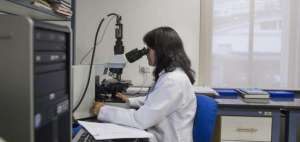 UNIR entreg&oacute; las primeras becas de posgrado del proyecto m&aacute;s mujeres por la tecnolog&iacute;a