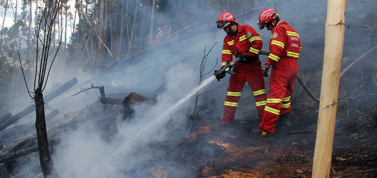 Uno de los incendios que trajo preocupaci&oacute;n fue el registrado en el parque Nacional El Cajas, en julio anterior.