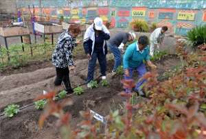 Los huertos benefician a m&aacute;s de 46 mil personas