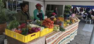 La gastronom&iacute;a quite&ntilde;a se degusta en 50 estands abiertos en 10 mercados
