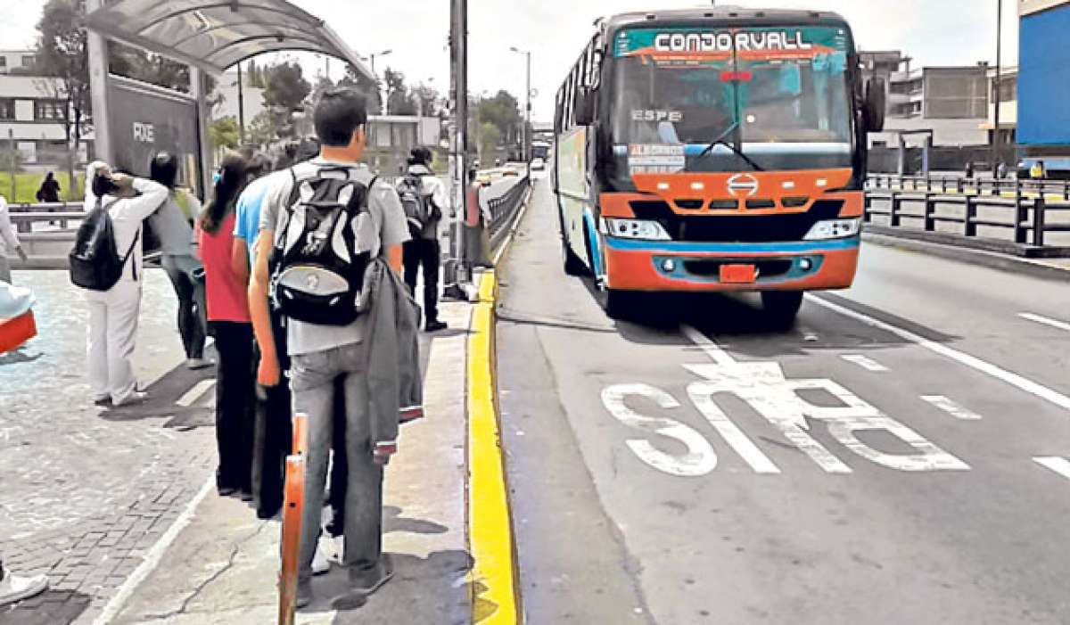 Los buses intracantonales prestan servicio a m&aacute;s de 300 mil usuarios, de acuerdo con las estad&iacute;sticas que maneja la Municipalidad capitalina. Foto: Archivo / El Tel&eacute;grafo