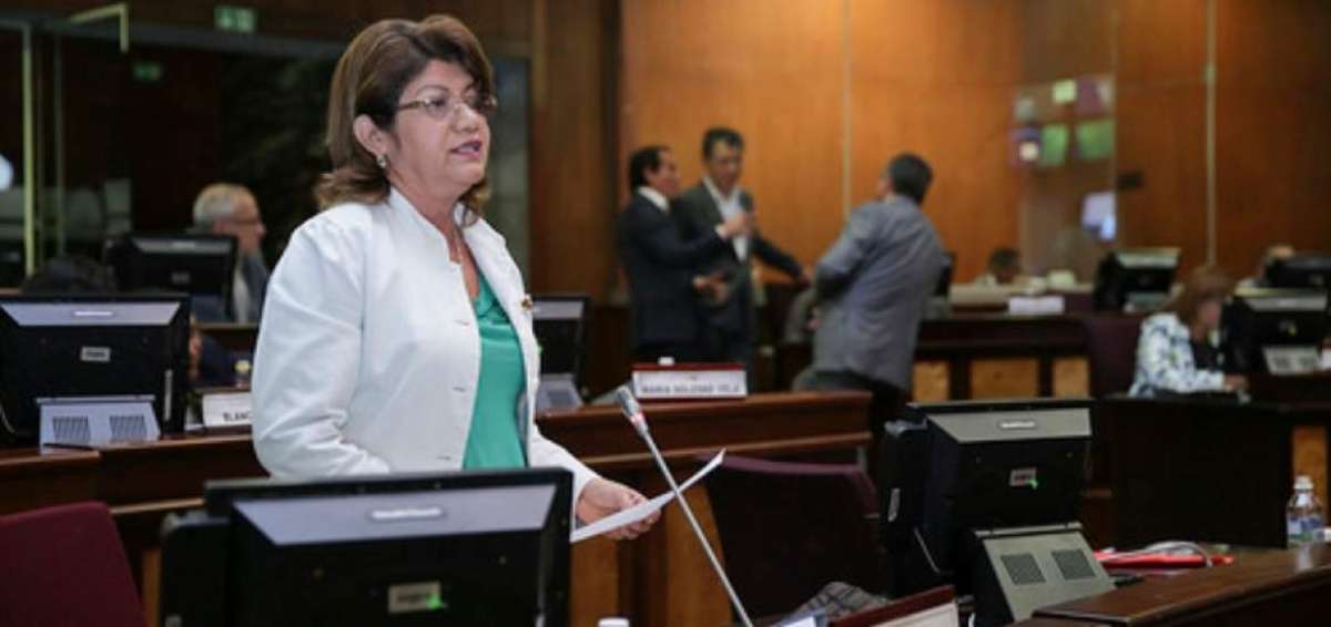 Roc&iacute;o Valarezo, integrante de la Comisi&oacute;n de Relaciones Internacionales, prepar&oacute; el informe que expuso ante los legisladores.