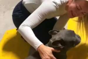Mujer se reencuentra con su mascota luego de ocho meses de separación
