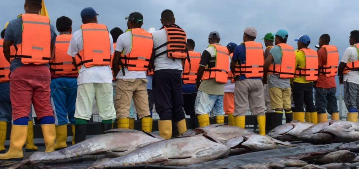 Capturan a 21 pescadores ilegales ecuatorianos en el Pac&iacute;fico colombiano