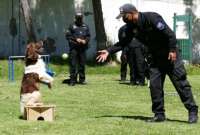 La Policía organiza un curso de adiestramiento canino en Quito