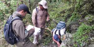 Luego de las lluvias, t&eacute;cnicos del Parque Nacional Gal&aacute;pagos realizaron una evaluaci&oacute;n de las especies.