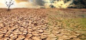 M&aacute;s de 3.000 millones de personas en todo el mundo est&aacute;n afectadas hoy en d&iacute;a por la degradaci&oacute;n de la tierra.