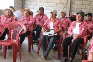 Gobierno destina USD 2,97 millones para fortalecer organizaciones en Guayas y Los R&iacute;os