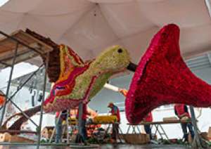 Parque Bicentenario ultima detalles para recibir a cerca de 1 mill&oacute;n de fieles