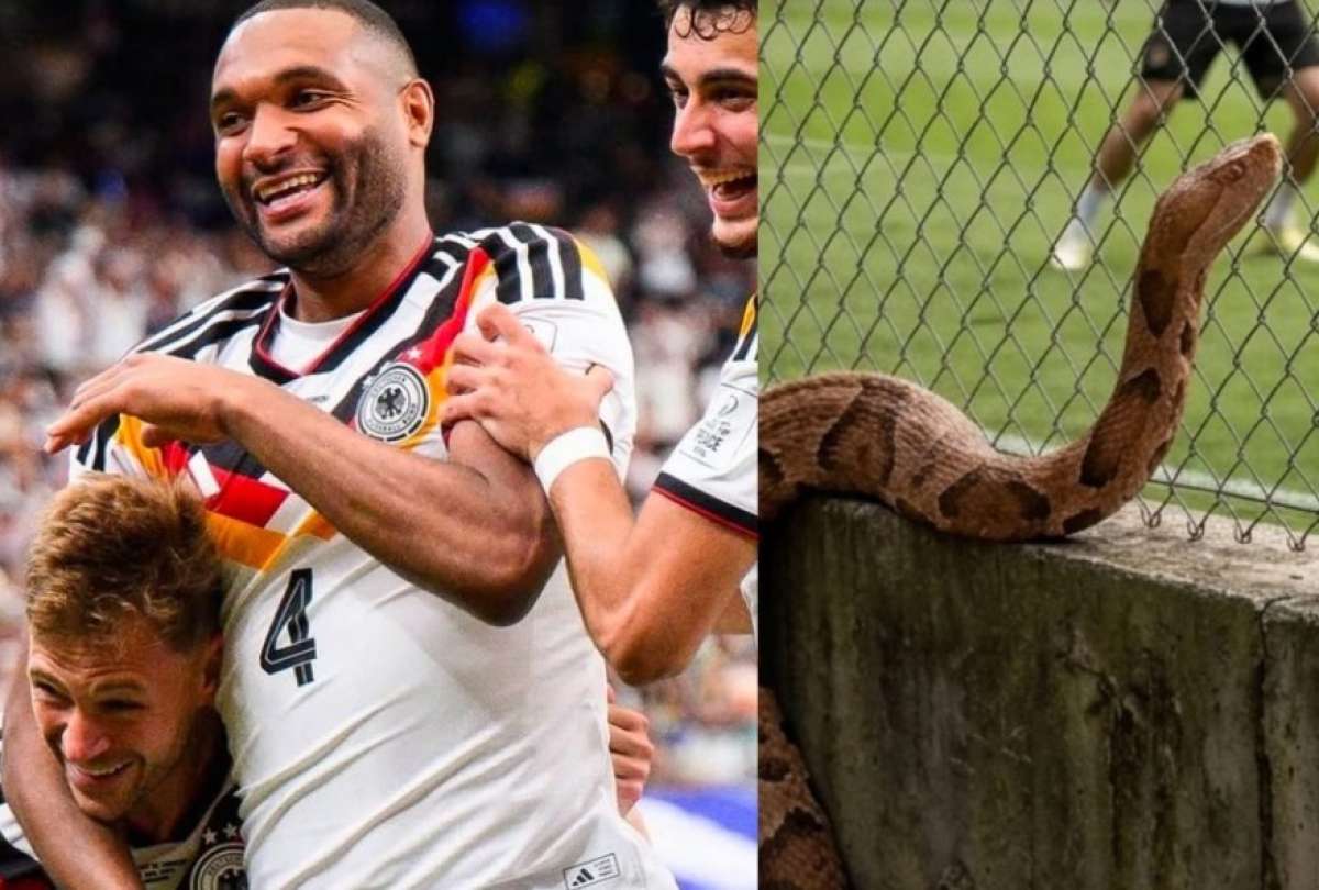 La aparici&oacute;n de una serpiente venenosa encendi&oacute; las alertas en el campamento de Alemania durante su preparaci&oacute;n para el Mundial 2026.