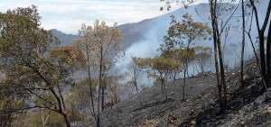 As&iacute; lucen los terrenos en Molleturo tras los incendios forestales desatados la semana anterior. Hasta ayer no pod&iacute;an ser sofocados por los bomberos.