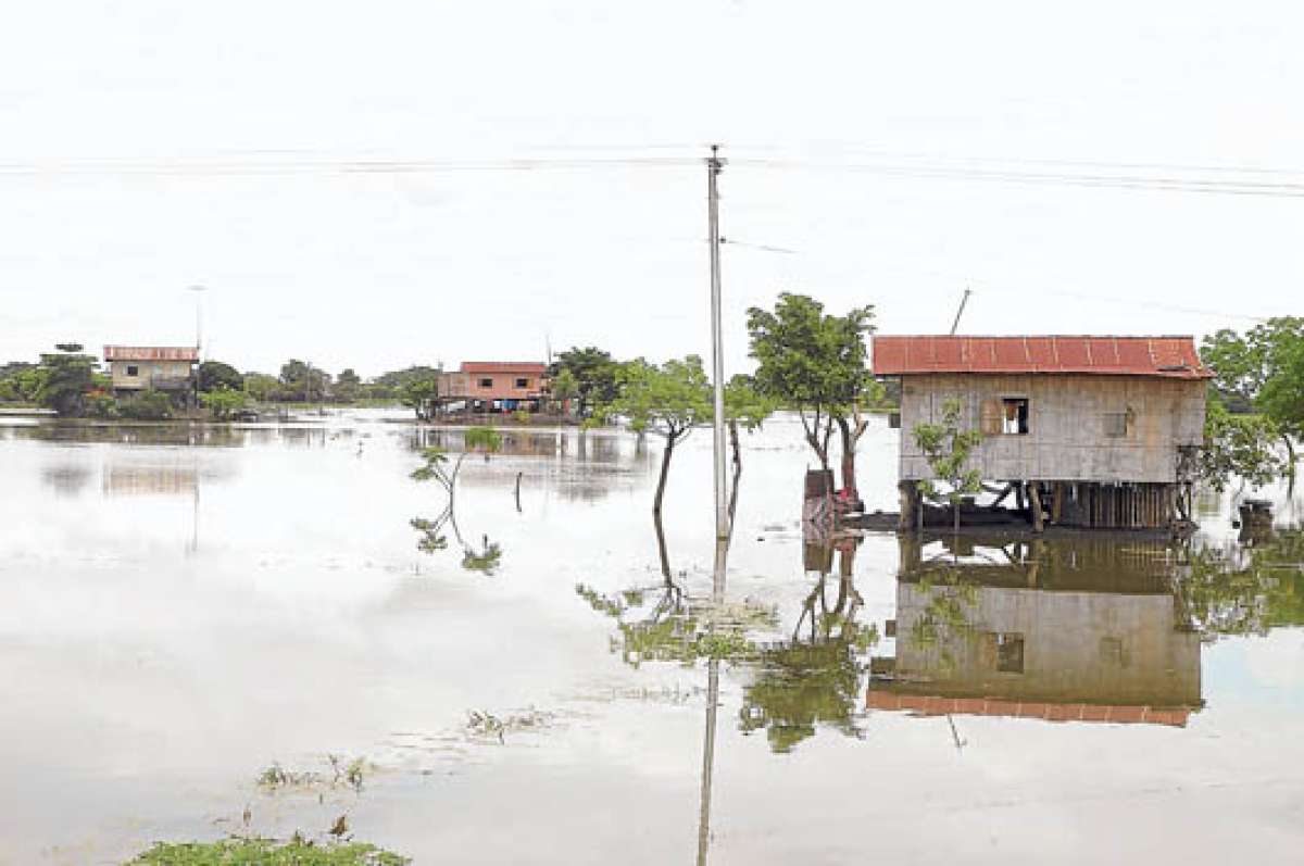 Los cultivos de decenas de campesinos se perdieron debido a las inundaciones en Quinind&eacute;. Foto: Cortes&iacute;a.