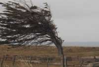 Inamhi advierte sobre fuertes ráfagas de viento en la Sierra