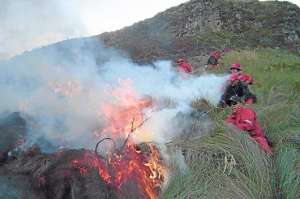 Durante la &eacute;poca seca de 2012, se quemaron 176,3 hect&aacute;reas en el Distrito Metropolitano de Quito. Foto: Archivo/ El Tel&eacute;grafo