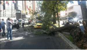 Un  &aacute;rbol cay&oacute; en la avenida Rep&uacute;blica del Salvador sobre un taxi. Foto: Tomada de la cuenta de Twitter de Despierta Quito.
