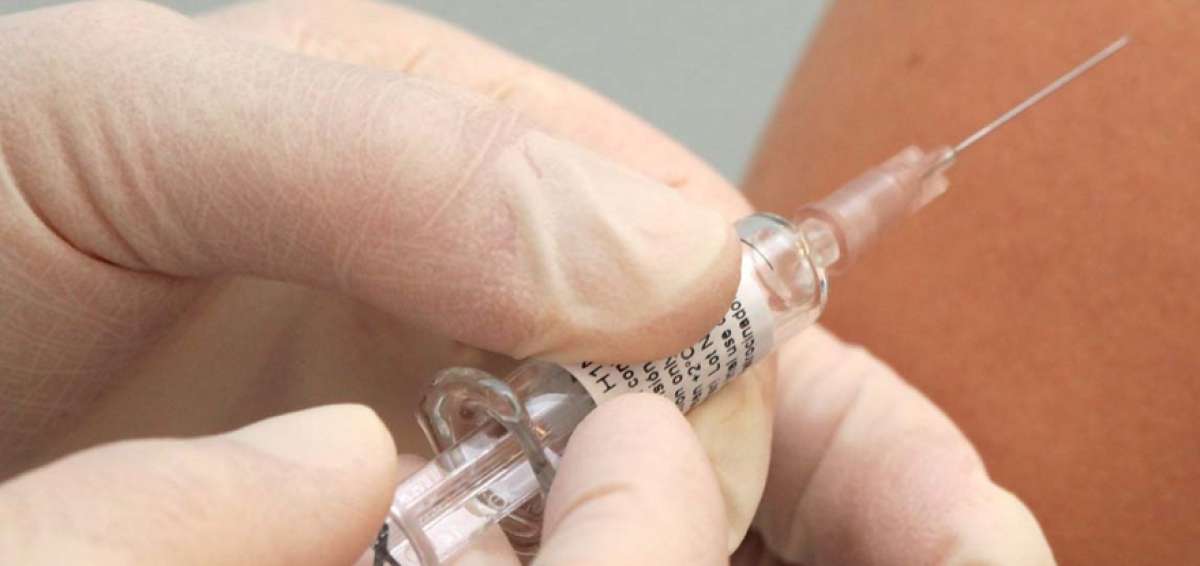 11.487 vacunados contra la fiebre amarilla en 16 meses