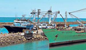 De enero a junio de este a&ntilde;o se desembarcaron por esta terminal pesquera 41.555 toneladas de at&uacute;n y pesca blanca. Foto: Rodolfo P&aacute;rraga / El Tel&eacute;grafo