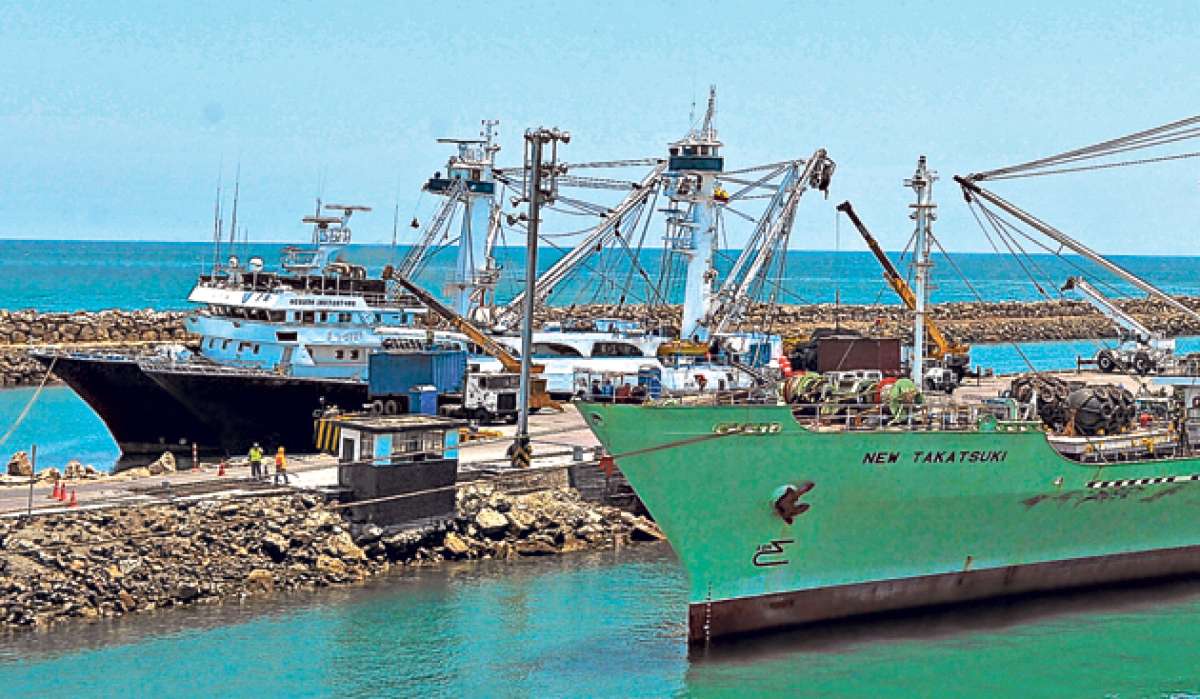 De enero a junio de este a&ntilde;o se desembarcaron por esta terminal pesquera 41.555 toneladas de at&uacute;n y pesca blanca. Foto: Rodolfo P&aacute;rraga / El Tel&eacute;grafo