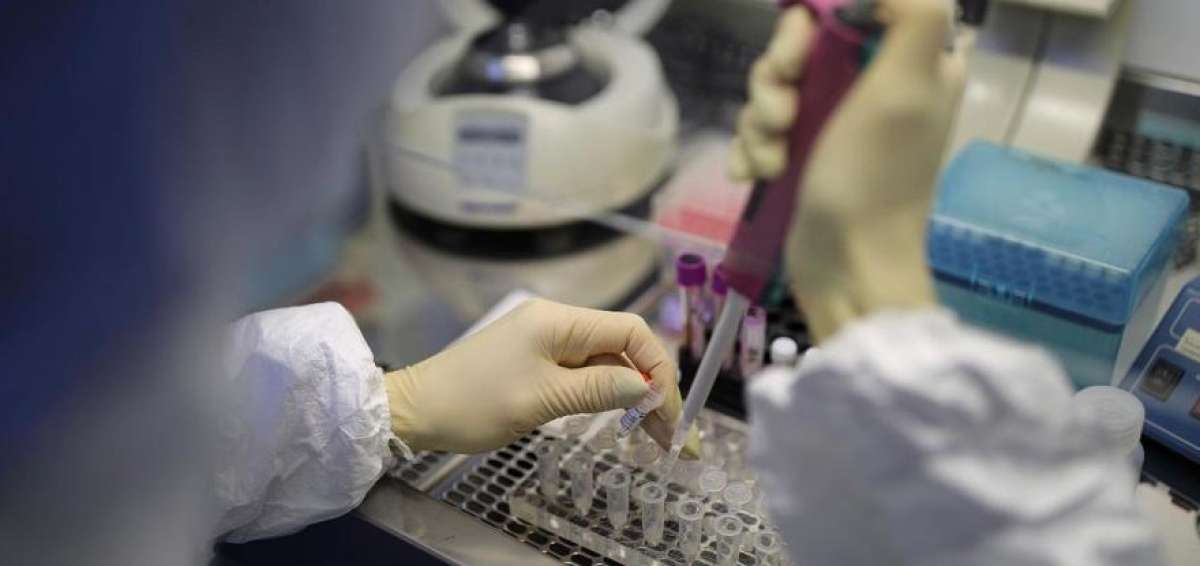 Investigadores de la UDLA describen mecanismos que impedir&iacute;an uni&oacute;n del virus covid-19 a las c&eacute;lulas humanas