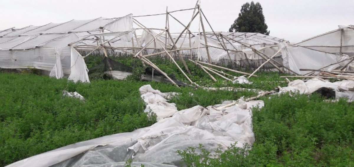Fuerte tornado sorprendi&oacute; a moradores de la parte norte de Salcedo
