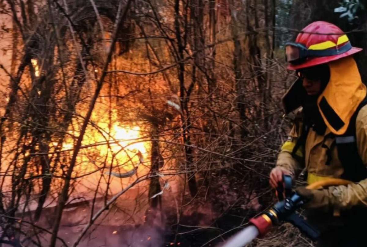 El Municipio de Quito sancionó a 51 personas por quemas ilegales que podrían haber derivado en incendios forestales.