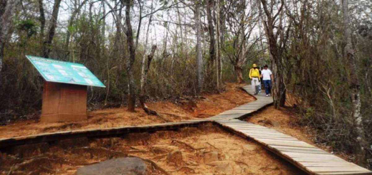 Ecuador y Per&uacute; apuntan ahora a una propuesta para la reserva de Biosfera Binacional.