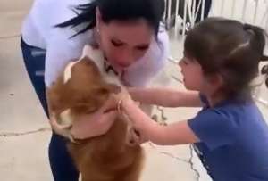 Un video grabado la familia al momento de recuperar al can muestra como la más pequeña se emociona hasta las lágrimas al verlo. 