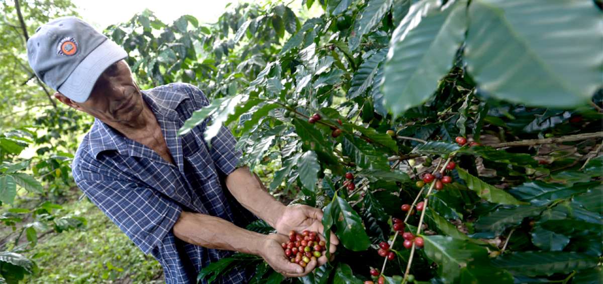 La Gran Minga Nacional Agropecuaria impulsa la asociatividad de los productores. Desde mayo &uacute;ltimo se constituyeron 234 organizaciones.