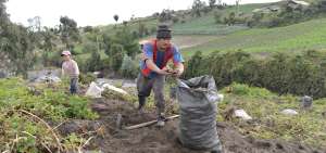 Al momento en los nueve cantones las plantaciones de papa cubren una superficie aproximada de 3.000 ha.