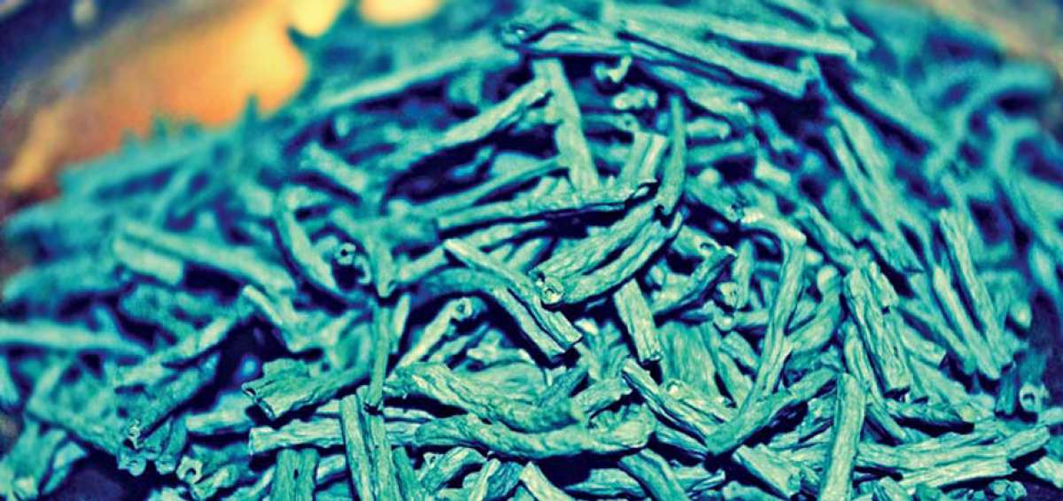 El alga azul combate la malnutrici&oacute;n