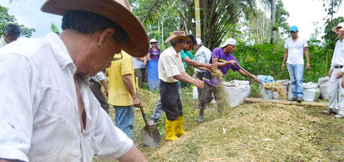 La preparaci&oacute;n de fertilizantes org&aacute;nicos no es compleja, pero requiere asistencia t&eacute;cnica especializada.