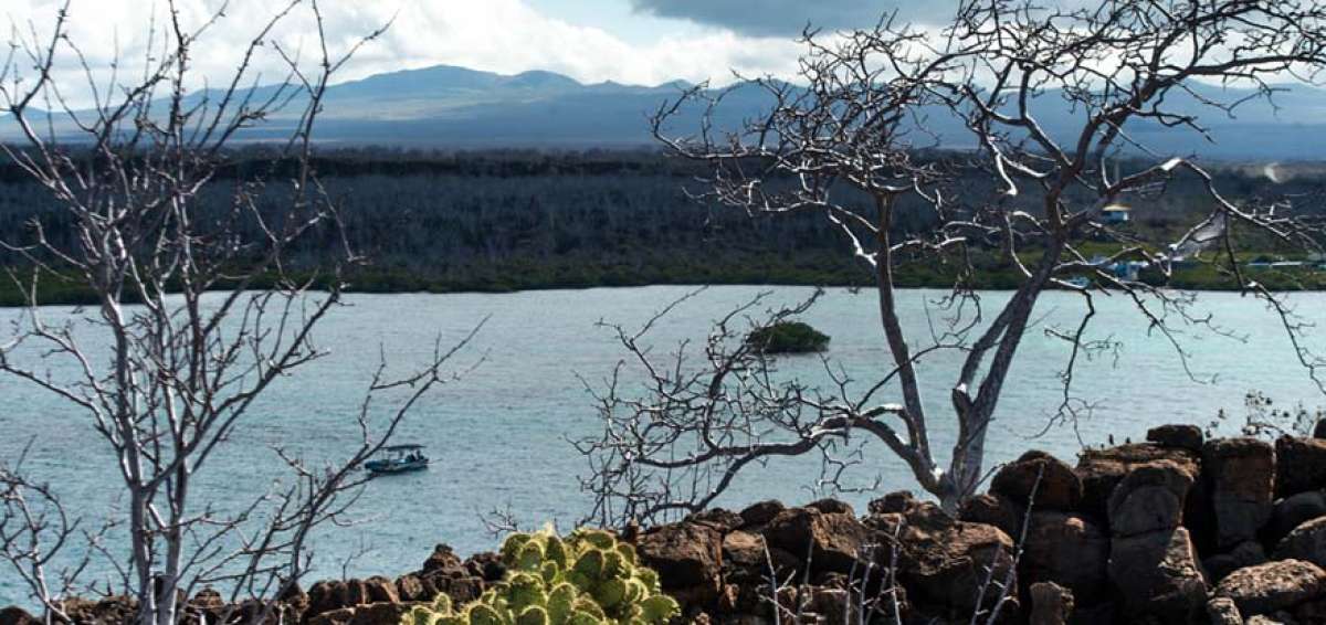 Canal de Itabaca sufre calentamiento. El oc&eacute;ano alrededor de las islas Gal&aacute;pagos subi&oacute; de temperatura a casi 0,2 grados desde 1979, seg&uacute;n un estudio de la Universidad de Arizona.