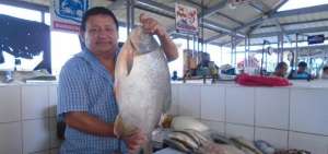 Al pie del r&iacute;o Babahoyo, entre espacios recreativos para ni&ntilde;os y adultos, funciona el mercado Las Mercedes, donde se comercializan mariscos. 