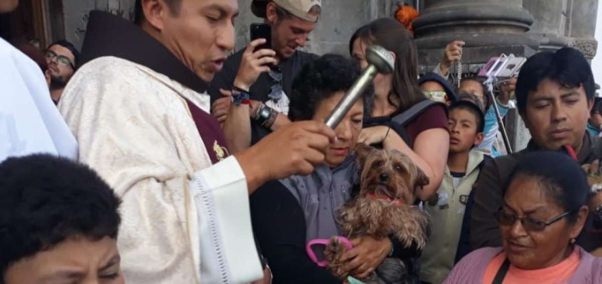 El padre Freddy Sucusa&ntilde;ay bendijo a los animales que fueron llevados hasta la iglesia de San Francisco.