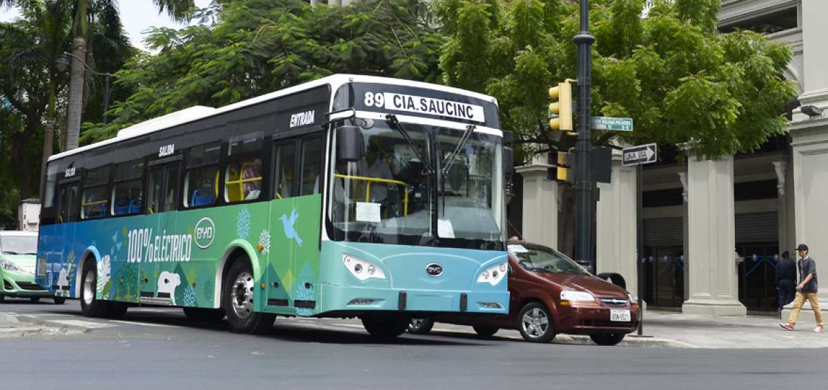 Los cargadores de los veh&iacute;culos el&eacute;ctricos que llegaron al puerto principal en noviembre del a&ntilde;o pasado se colocar&aacute;n en el Parque Samanes.   