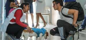 GUAYAQUIL.- Ricardo Zambrano, de 18 a&ntilde;os, y su perrita llegaron al punto de movilidad en la terminal. La mascota bebi&oacute; agua y recibi&oacute; asistencia de un miembro de la Cruz Roja.