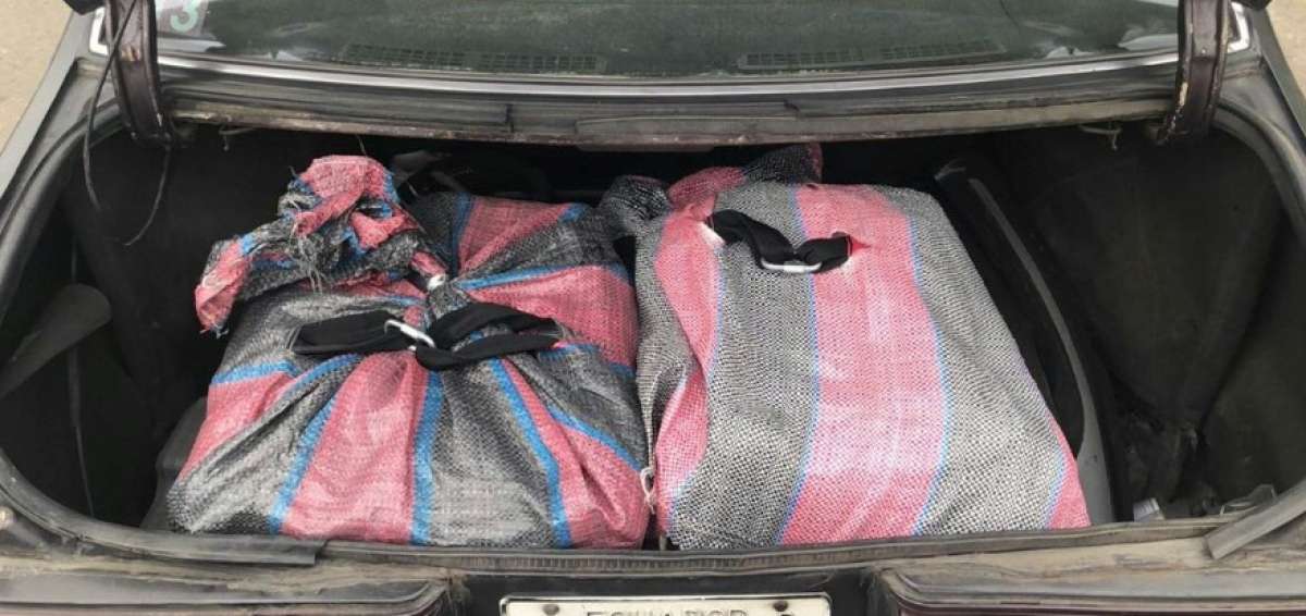 El alijo era transportado en la cajuela de un automotor.