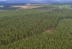 En el &aacute;rea se han identificado 47 fuentes de agua y al menos 19 especies de fauna.