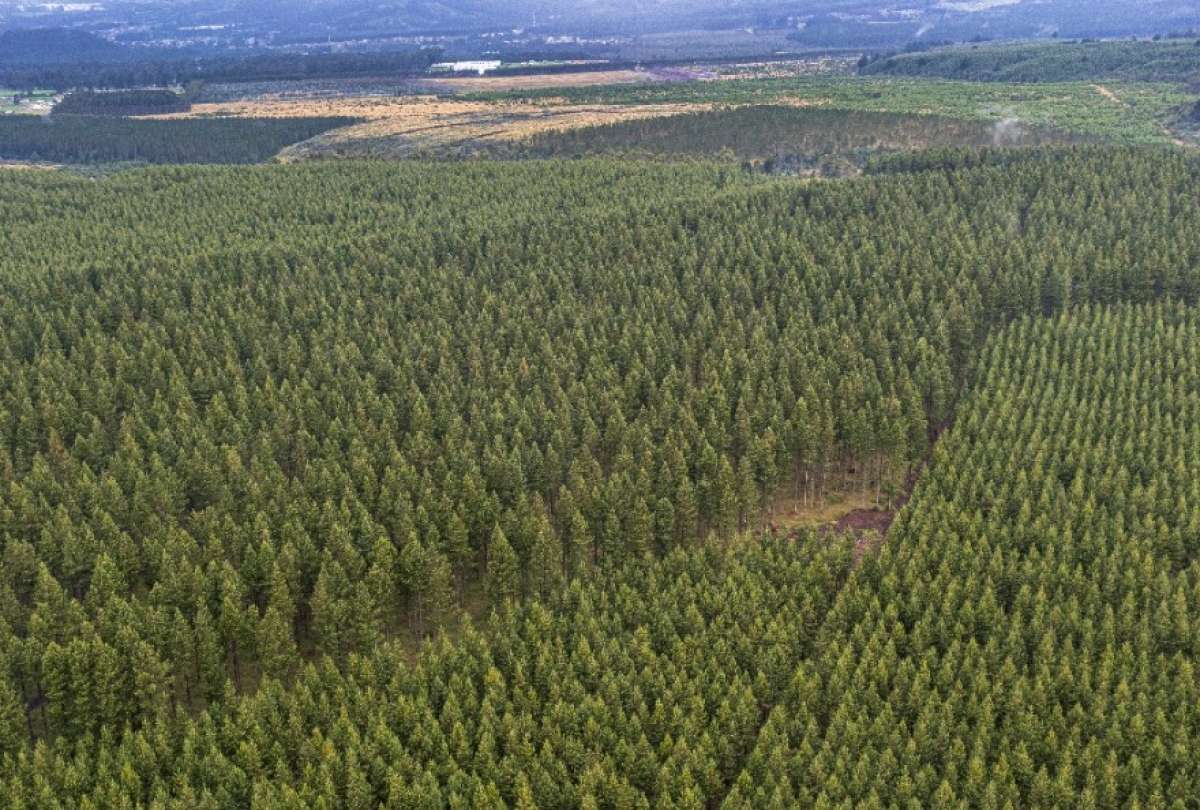 En el &aacute;rea se han identificado 47 fuentes de agua y al menos 19 especies de fauna.