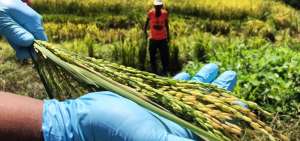 El proyecto busca ampliarse en diferentes zonas del pa&iacute;s a trav&eacute;s de los productores.