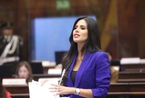 La asamble&iacute;sta oficialista Diana J&aacute;come defendi&oacute; el procedimiento parlamentario.