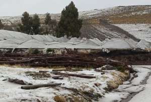 Gobierno activa COE para atender a familias afectadas por granizada en Cayambe