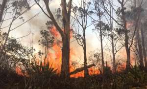 Los trabajos en el incendio forestal de Quilanga se extendieron por dos d&iacute;as.